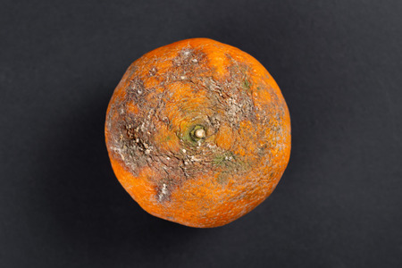 top view overripe pear on a dark backgroundの写真素材