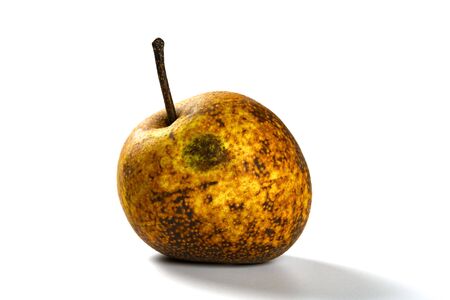 overripe pear on a white backgroundの写真素材