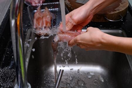 lady washing fresh raw squidの写真素材