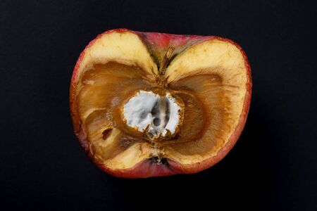 badly shrinked apple with moldy core on black backgroundの写真素材