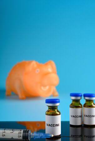 syringe and vaccine with swine at background vertical compositionの写真素材