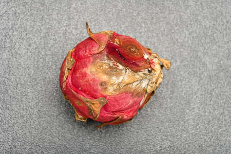 overripe dragon fruit on a dark backgroundの写真素材