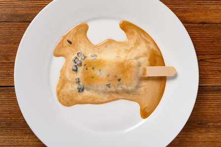 top view brown sugar tapioca milk tea flavor ice cream stick in a melting process on a white dishの写真素材