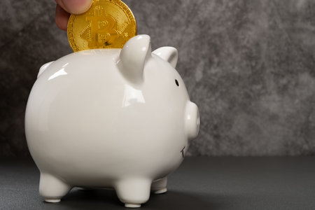 putting a bitcoin to a piggy bank