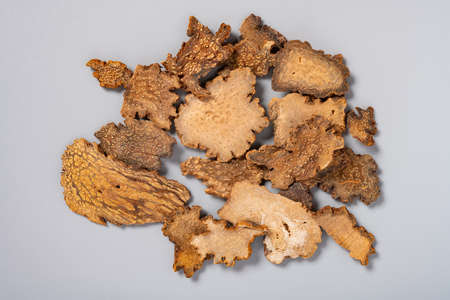 top view herb SuoYang or Cynomorii Herba or Songaria Cynomorium Herbの写真素材