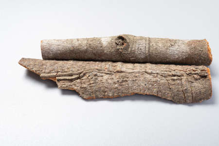 angle view herb GuiPi or Bark o Wilson Cinnamon or Bark of Japanese Cinnamon
