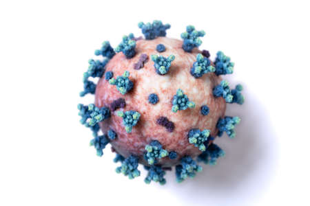 coronavirus on a white backgroundの写真素材
