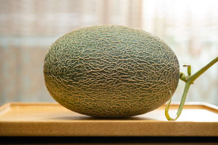 fresh green hami melon on a table
