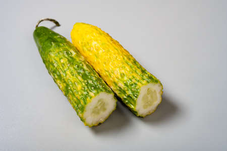 a cut out overripe cucumber on grey backgroundの写真素材