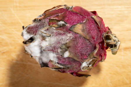 top view badly moldy dragon fruitの写真素材