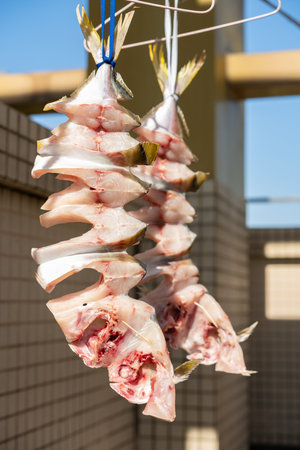 raw fishes being air dried on a balcony vertical compositonの写真素材