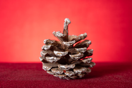 pinecone on a red background