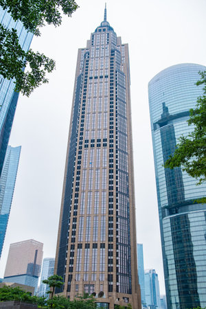 commercial buildings in a cloudy day vertical composition