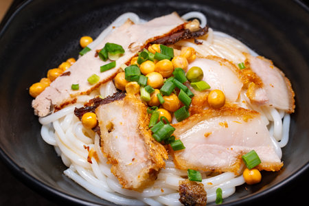 angle view fresh guilin rice noodles with roasted porkの写真素材