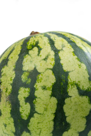 fresh watermelon on white with copy spaceの写真素材