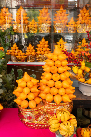 pot plant named Five Generations Together Fruit for Chinese new yearの写真素材