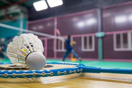 shuttlecock inside a badminton courtsの写真素材