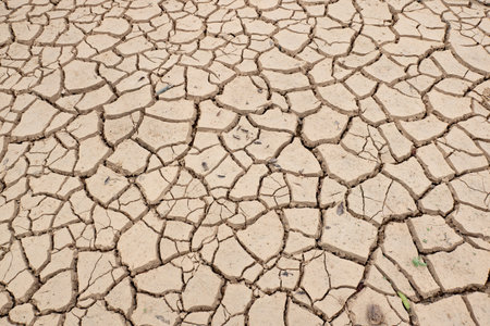 cracked and dried mud as background and textureの写真素材