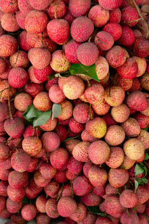 bunch of fresh lichees at vertical compositionの写真素材