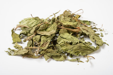 angle view herb TianYeJu or Stevia Rebaudiana or Stevia at horizontal composition