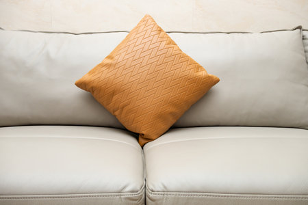 gray comfortable and stylish sofa with cushion at horizontal composition