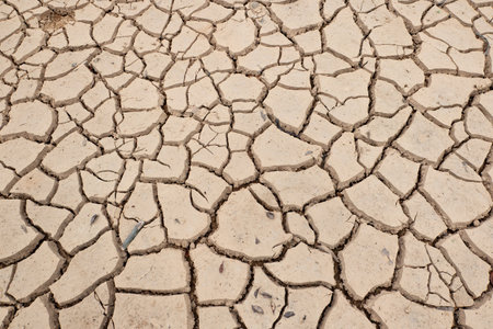 cracked and dried mud as background and textureの写真素材