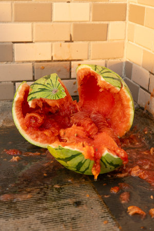 smashed watermelon on the ground at vertical compositionの写真素材