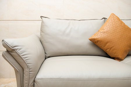 gray comfortable and stylish sofa with cushions at horizontal composition