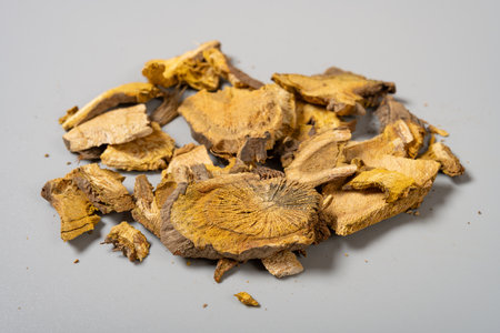 angle view herb HuZhang or Polygoni Cuspidati Rhizoma et Radix or Giant Knotweed Rootの写真素材