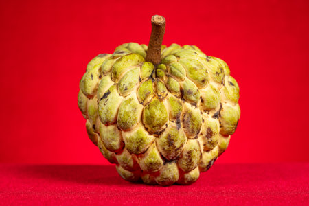 custard apple or annona squamosa on red backgroundの写真素材