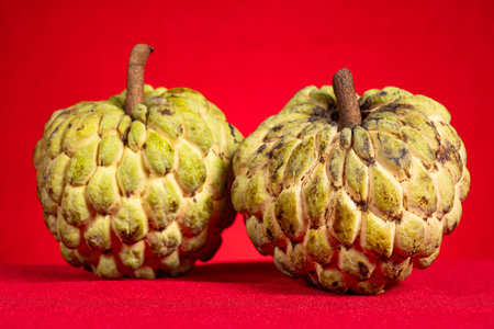 custard apples or annona squamosas on red backgroundの写真素材