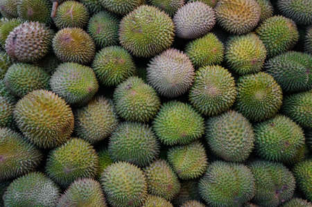Durian fruits texture                            の写真素材