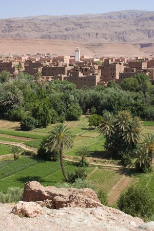 Tinerhir Oasis, Morocco.