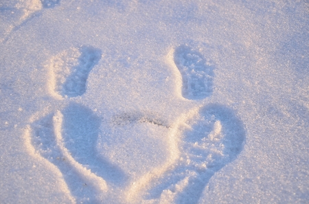 Dalian, China - February 15, 2013 My daughter and I have left footprints on the snow on the surface of Long lake in Dalian of China on February 15, 2013  のeditorial素材