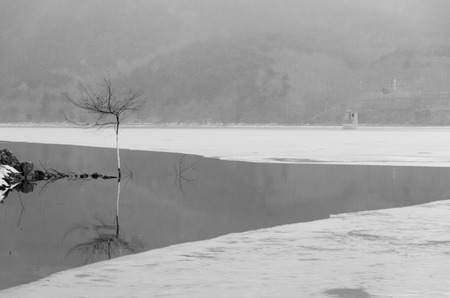 Trees Reflection In Lake Water At Winter Season. Photo taken on Jan 1, 2014 in China.の写真素材