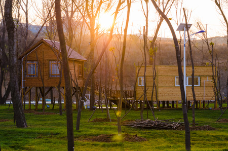 Bright sunshine flooded the wood house among the trees in the park.の写真素材
