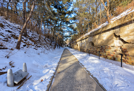 Bunkerのeditorial素材