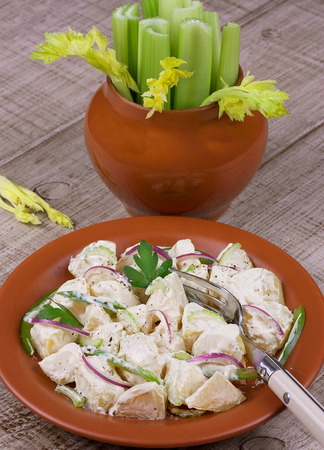 Potato salad with celery, red onion and green paprika pepperの写真素材