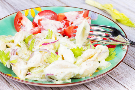 Creamy Pasta Salad with Celery and Red Onionの写真素材
