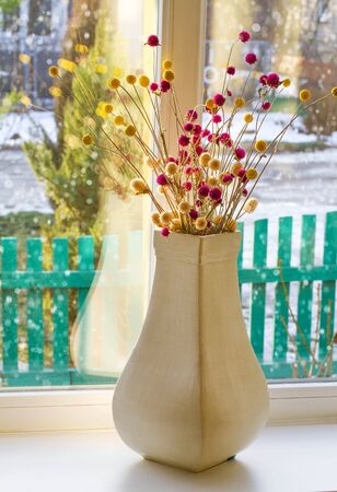 Dried flowers in a vase on a window against winter backgroundの写真素材
