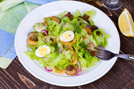 Caesar Salad with Marinated Mushroomsの写真素材