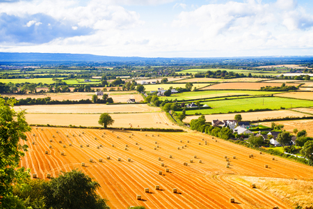 Countryside landscape with meadow and sky. Hay bales or straw on agricultural fields. Rural nature in the farm land. Wheat harvest, grain crop, harvestingの写真素材