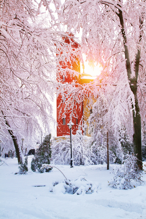 Winter city park landscape. Frosty trees covered with snow in park and sun. The Kiev Water Museum in  Khreshchaty Park, Kiev, Ukraineの写真素材