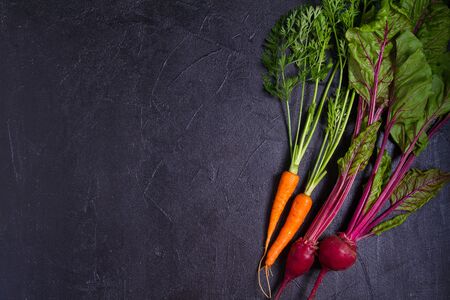 Carrots and beet - root vegetables on a black background. Summer farm vegetables. Food background, layout, room for textの写真素材