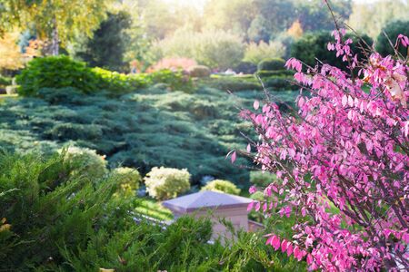 Scenic View of a Beautiful Landscape Garden with Colourful Plant and Flower Bedの写真素材