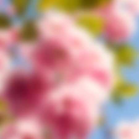 Abstract blur spring background. Pink green and blue bokehの写真素材