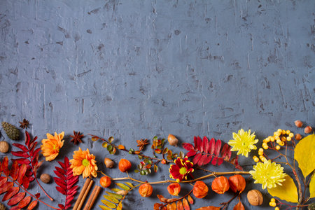 Autumn and Thanksgiving background with pumpkins and leaves. Copy space, high angle view