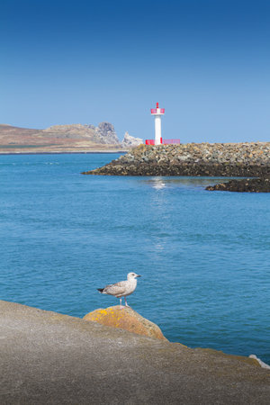 Lighthouse in Howth, an Irish town on the Howth Peninsula Dublin Ireland. View of calm blue sea and clear skyの写真素材