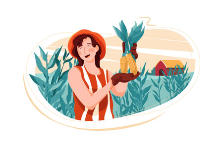Farmer woman harvesting corn in field flat vector illustration. Cartoon female farmer standing in field, holding crop in hand. Organic farming conceptのイラスト素材