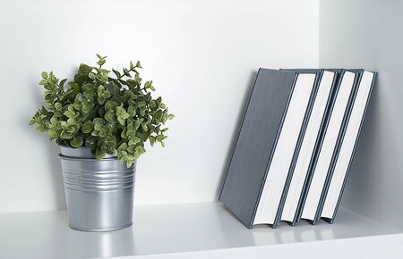 Plant with some books on a shelf.の写真素材